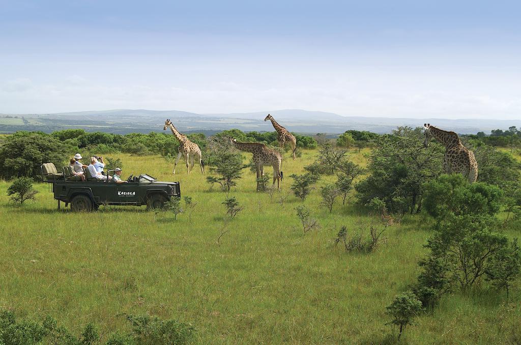 Kariega Game Reserve River Lodge Kenton on Sea Exterior photo